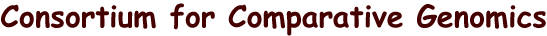 m,anage